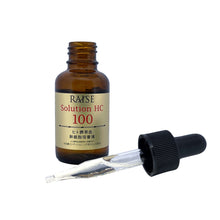 画像をギャラリービューアに読み込む, RAISE レイズ ソリューションHC100