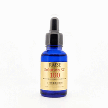 画像をギャラリービューアに読み込む, RAISE レイズ ソリューションSC100